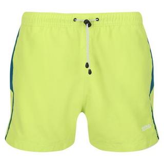 Regatta  Rehere Shorts 