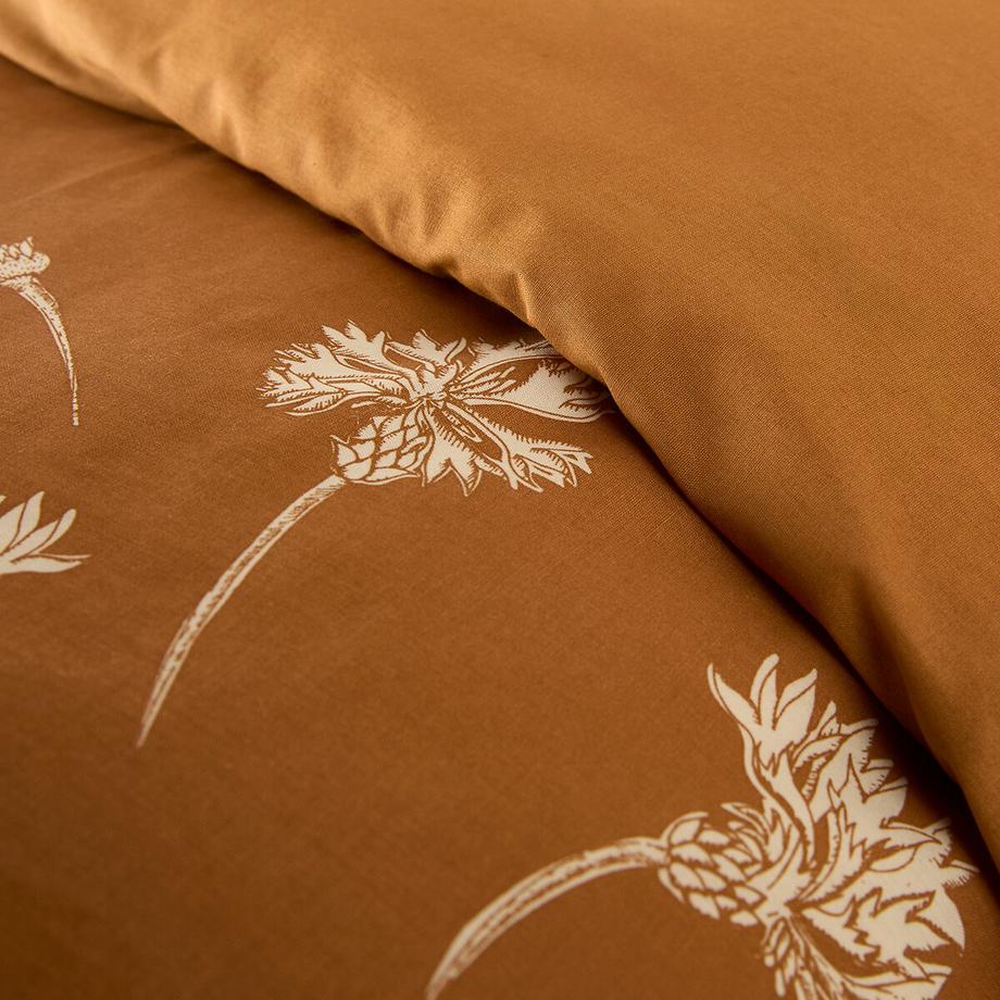 La Redoute Intérieurs Housse de couette coton  