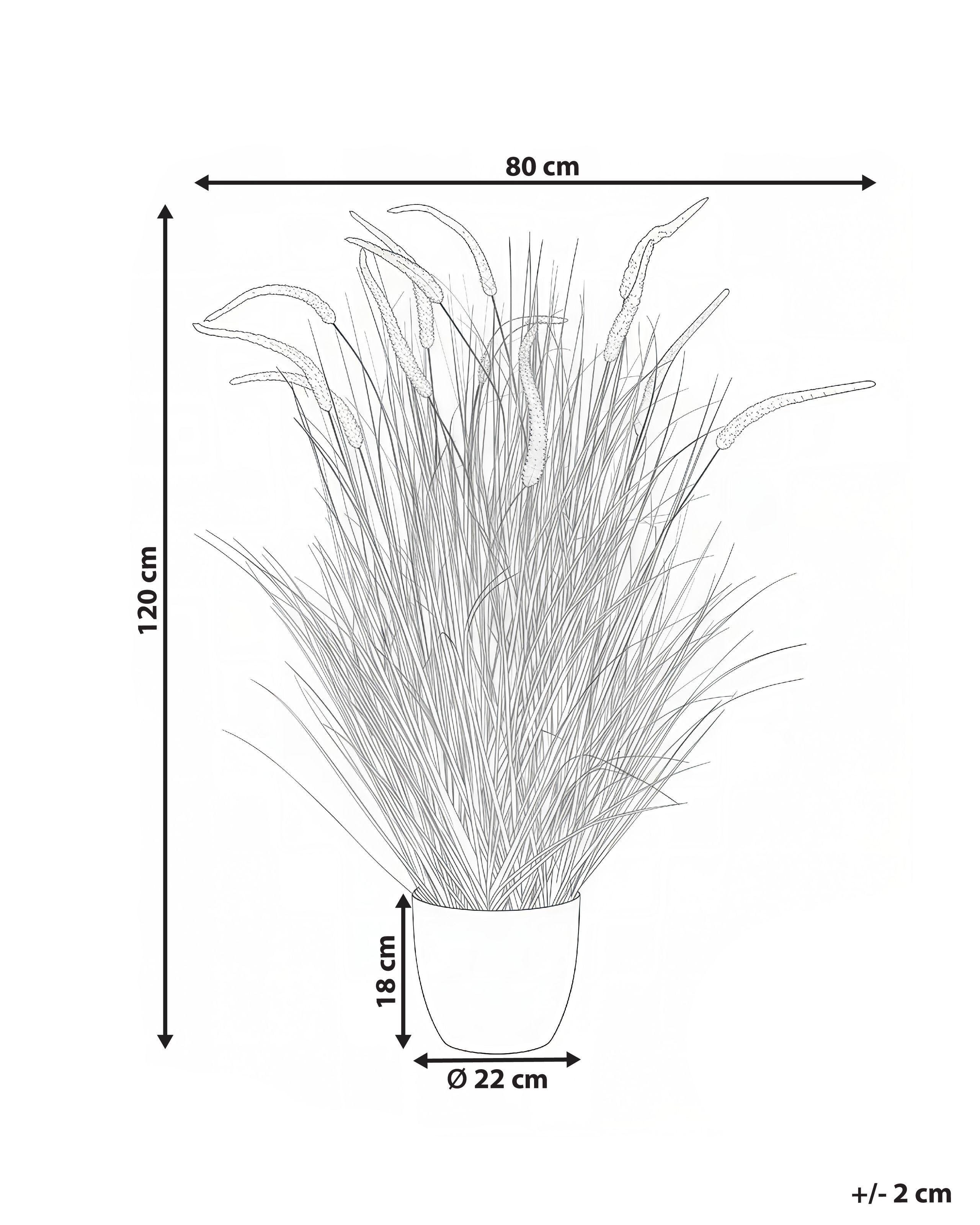 Beliani Pianta artificiale en Materiale sintetico Boho BRISTLEGRASS  