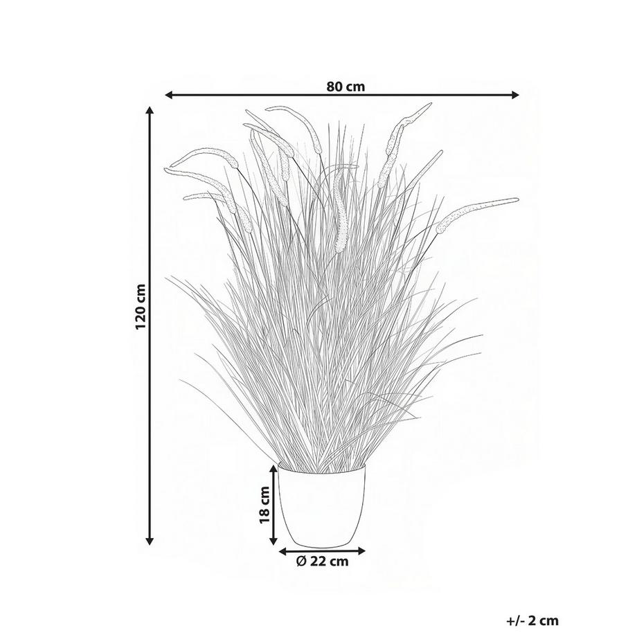 Beliani Plante artificielle en Matière synthétique  BRISTLEGRASS  