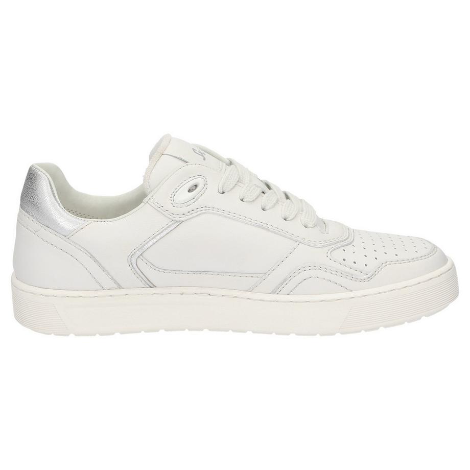 Sioux  Sneaker Maites sneaker 001 