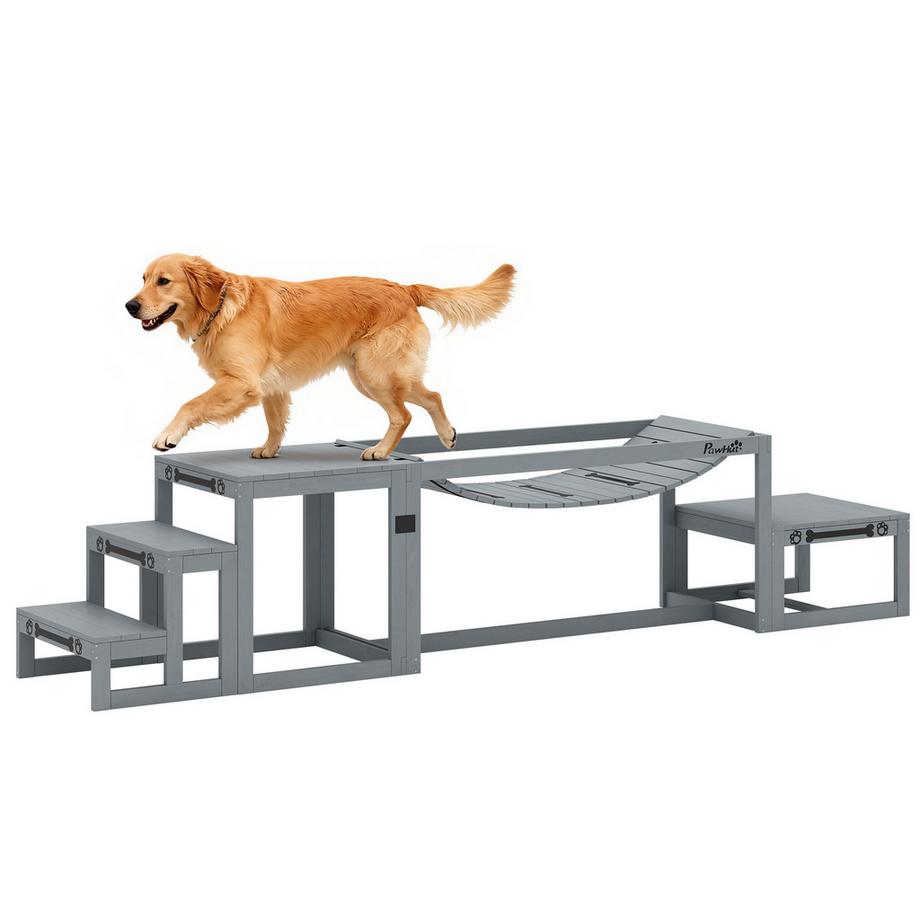 Agility Set Hunde