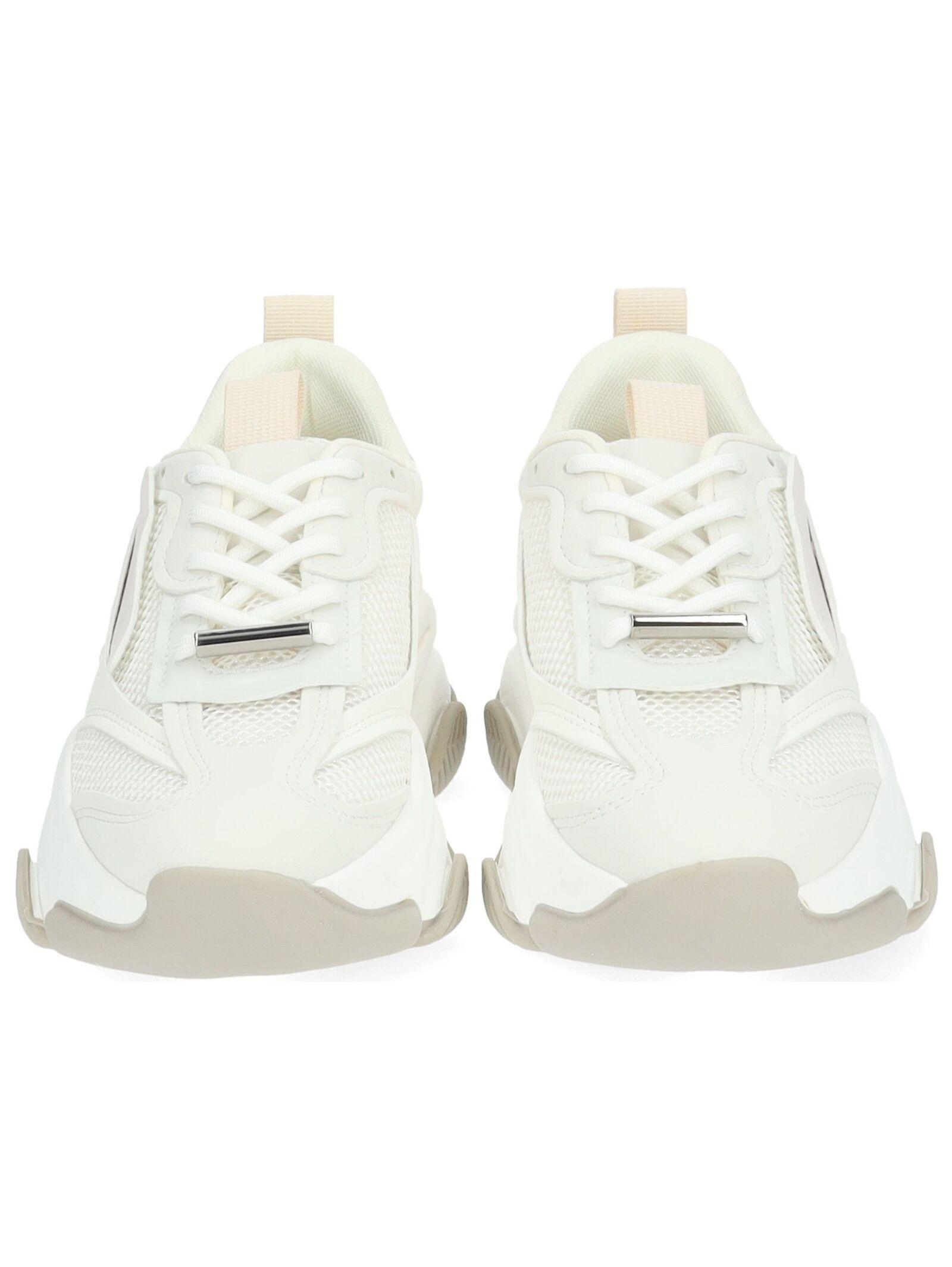 STEVE MADDEN  sneakers possession-e 