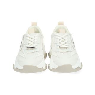 STEVE MADDEN  Sneaker Possession-E SM19000033 