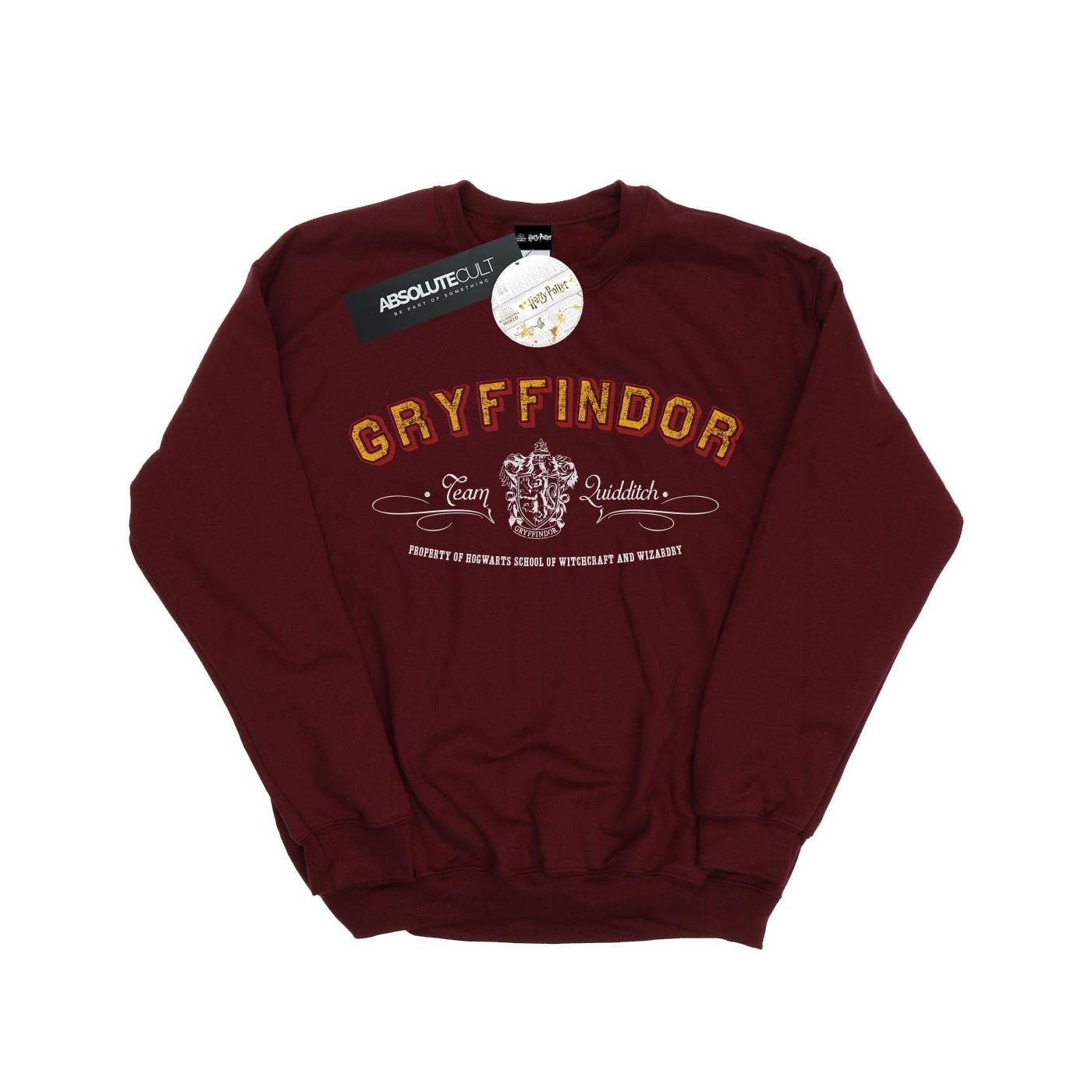 HARRY-POTTER  Sweat GRYFFINDOR QUIDDITCH 