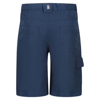 Regatta  Sorcer II Shorts 