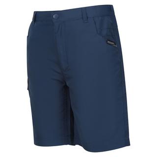 Regatta  Sorcer II Shorts 