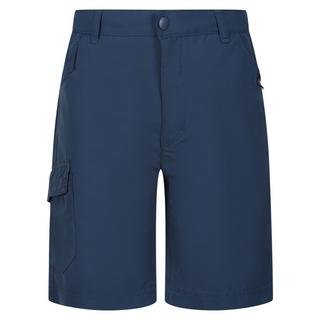 Regatta  Sorcer II Shorts 