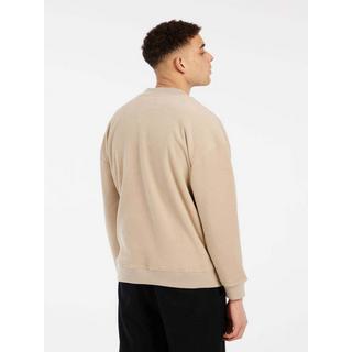 PROTEST PRTNOLLIE Pullover  