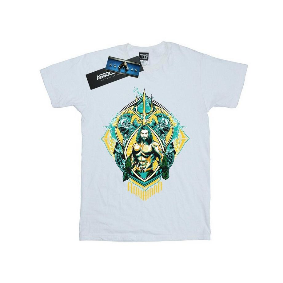 DC COMICS Aquaman Grafikdruck T-Shirt  