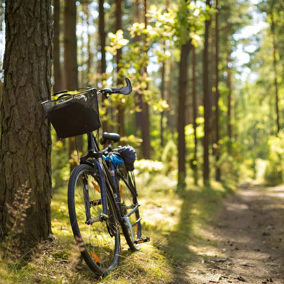 B2X  1 Paar ergonomische Fahrradgriffe 