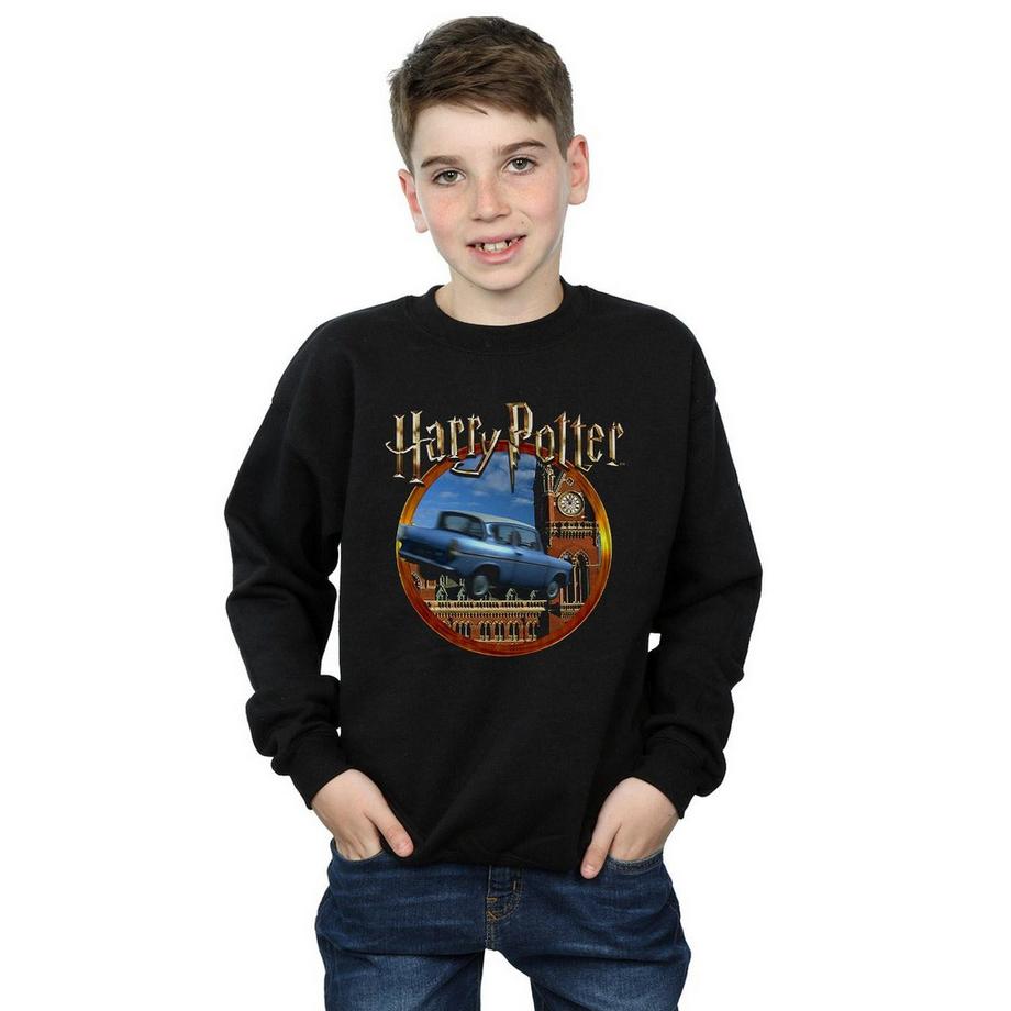 Harry Potter  Sweatshirt 