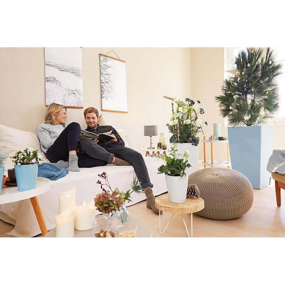 Lechuza DELTINI all-in-one  