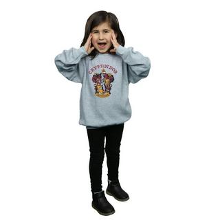 Harry Potter  Sweatshirt 