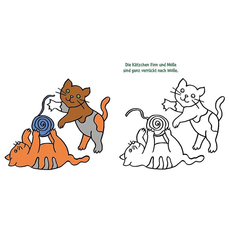 Carlsen  Ausmalbilder für Kita-Kinder: Das dicke Kindergarten-Malbuch: Tierkinder 