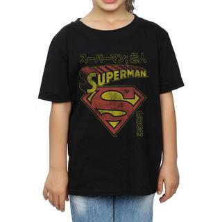 DC COMICS  Tshirt SUPERMAN SHIELD 