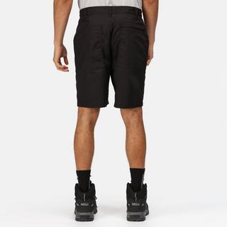 Regatta  Short s 