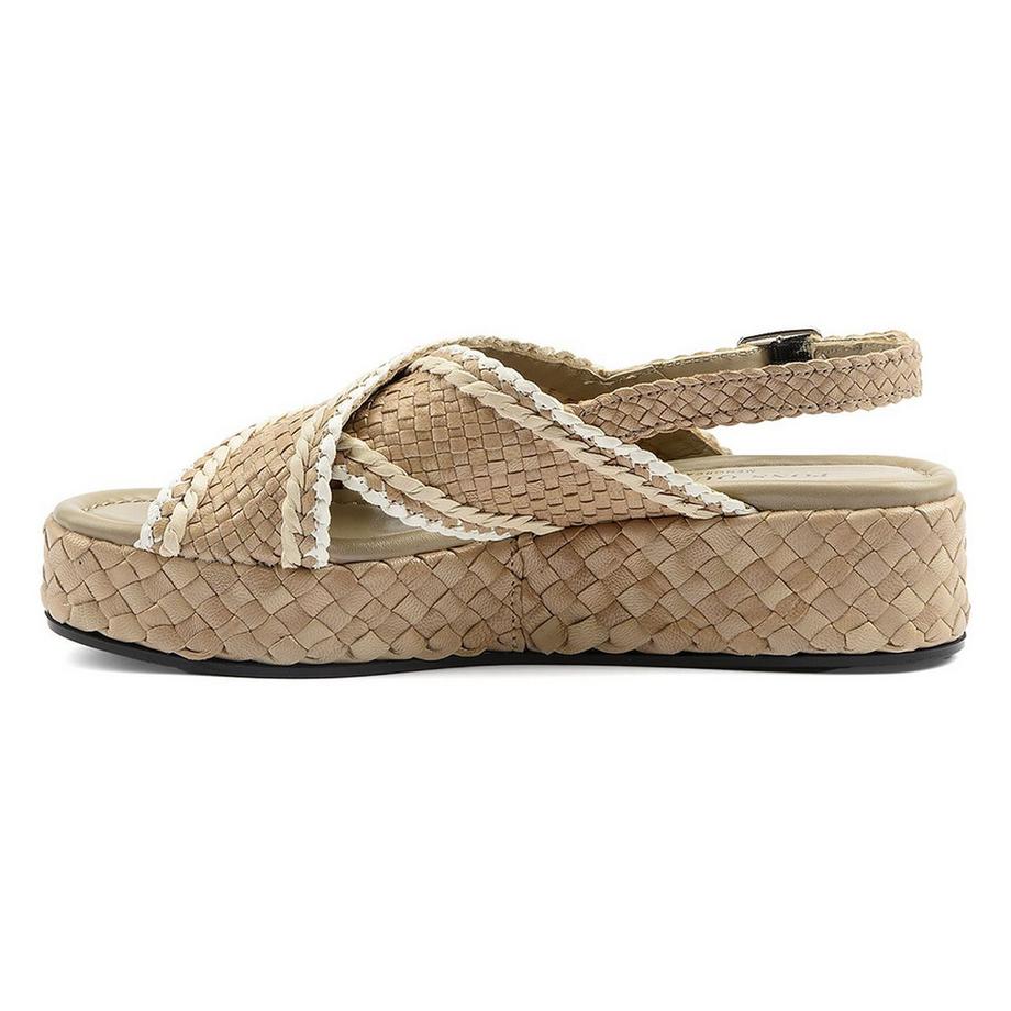 pons quintana  10734-38 