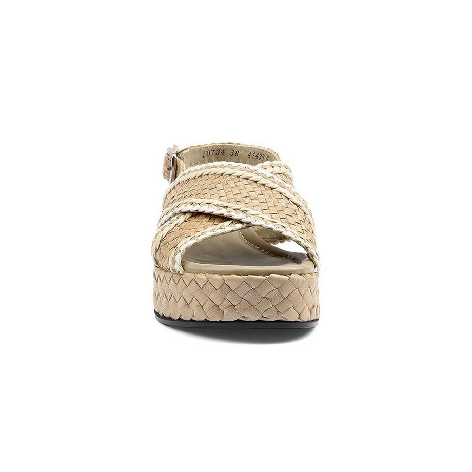 pons quintana  10734-38 