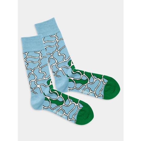 DillySocks  Riflessi della piscina 