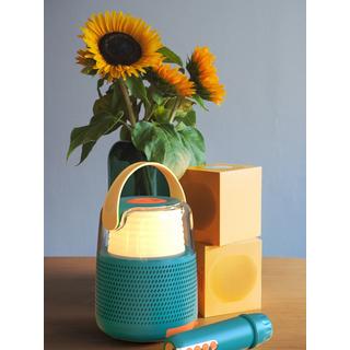 MOB  Karaoke Lautsprecher KS-80 pink 