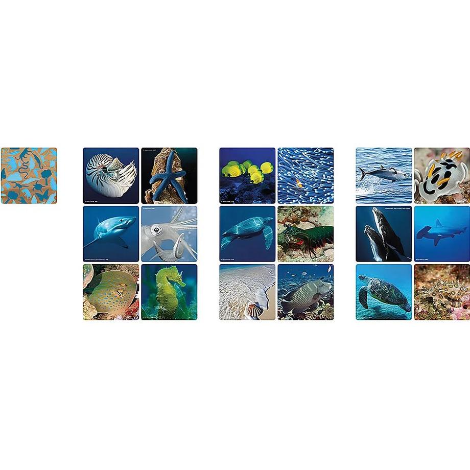 Ambassador  Spiele Memo Unterwasser (36Teile) 