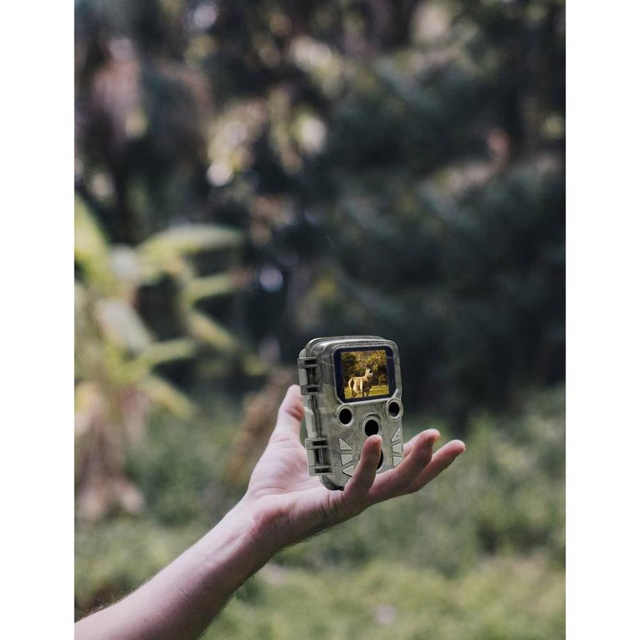 Braun Phototechnik  Scouting Cam Black800 Mini 