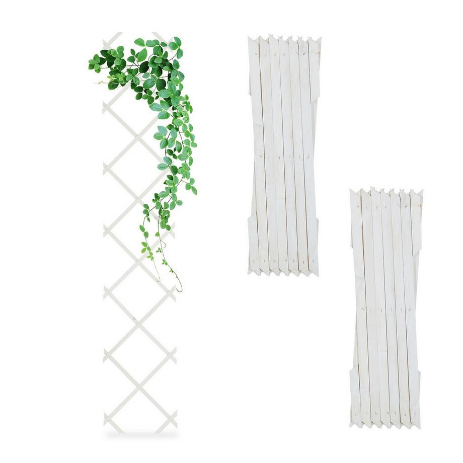 Ausziehbares Pflanzenspalier-Set für die Wand