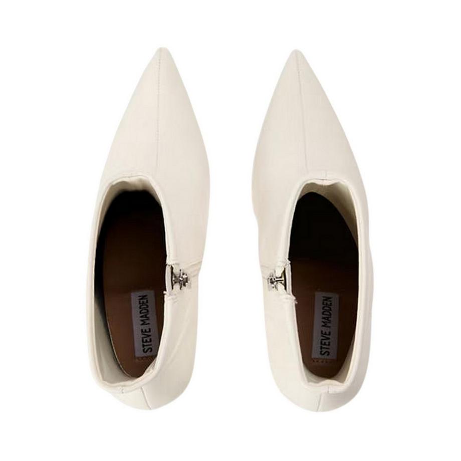 STEVE MADDEN Stivaletti Lyanna in Pelle  