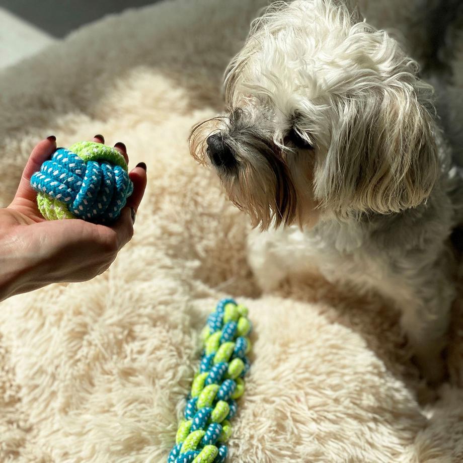 Intirilife  10x Hunde Spielzeug Kauspielzeug aus Baumwolle 