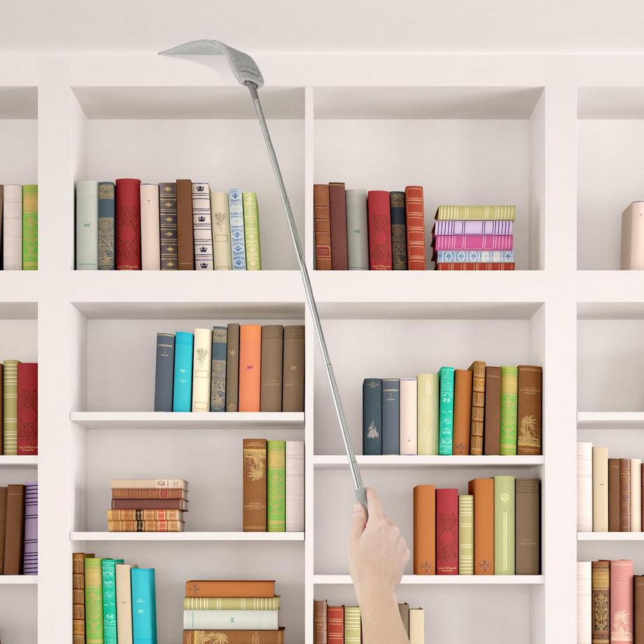 Northio  Aspirateur à ressort plat avec manche télescopique 