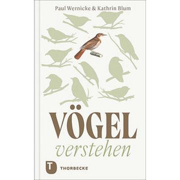 Vögel verstehen