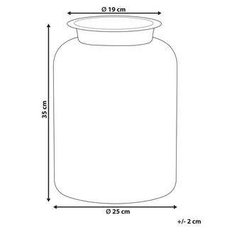 Beliani Vase à fleurs en Verre Moderne VINDALOO  