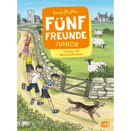 Fünf Freunde JUNIOR - Timmy, der Meisterdetektiv Blyton, Enid; Raidt, Gerda (Illustrationen) Gebundene Ausgabe 