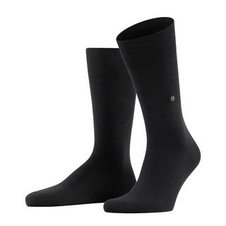 Burlington  socken everyday x-mas 