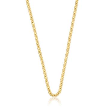 Collier Rundanker Gelbgold 375, 3.9mm, 45cm