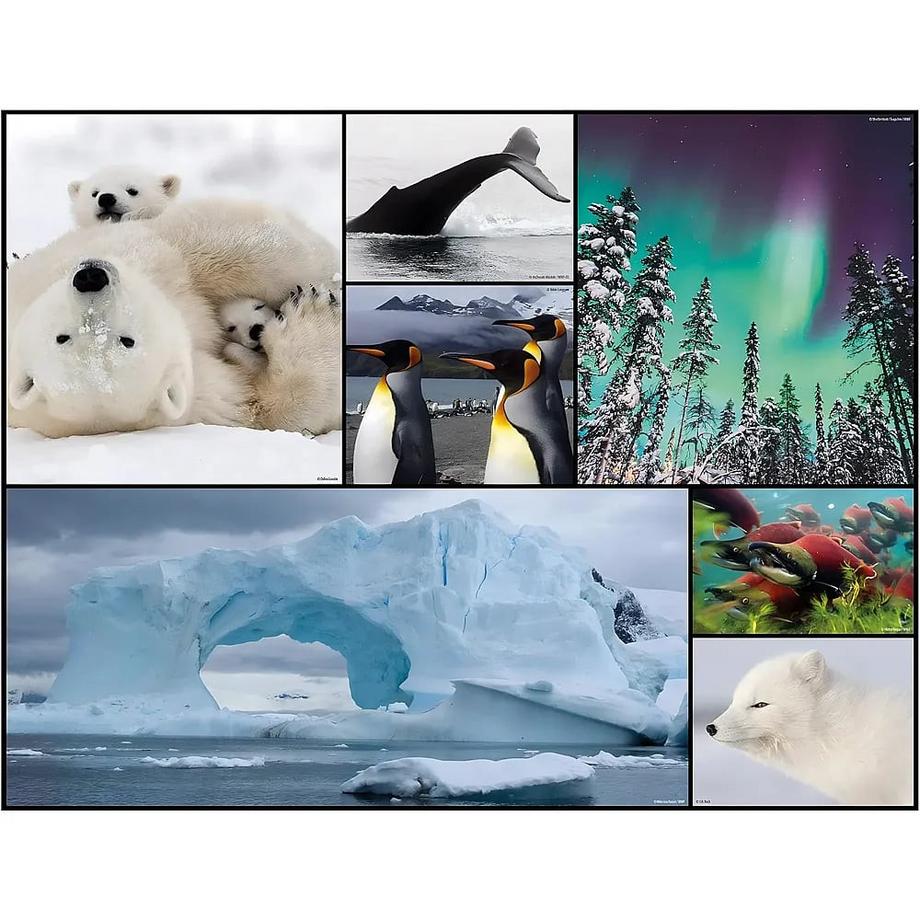 Ambassador  Puzzle Bodenpuzzle Polar (48Teile) 