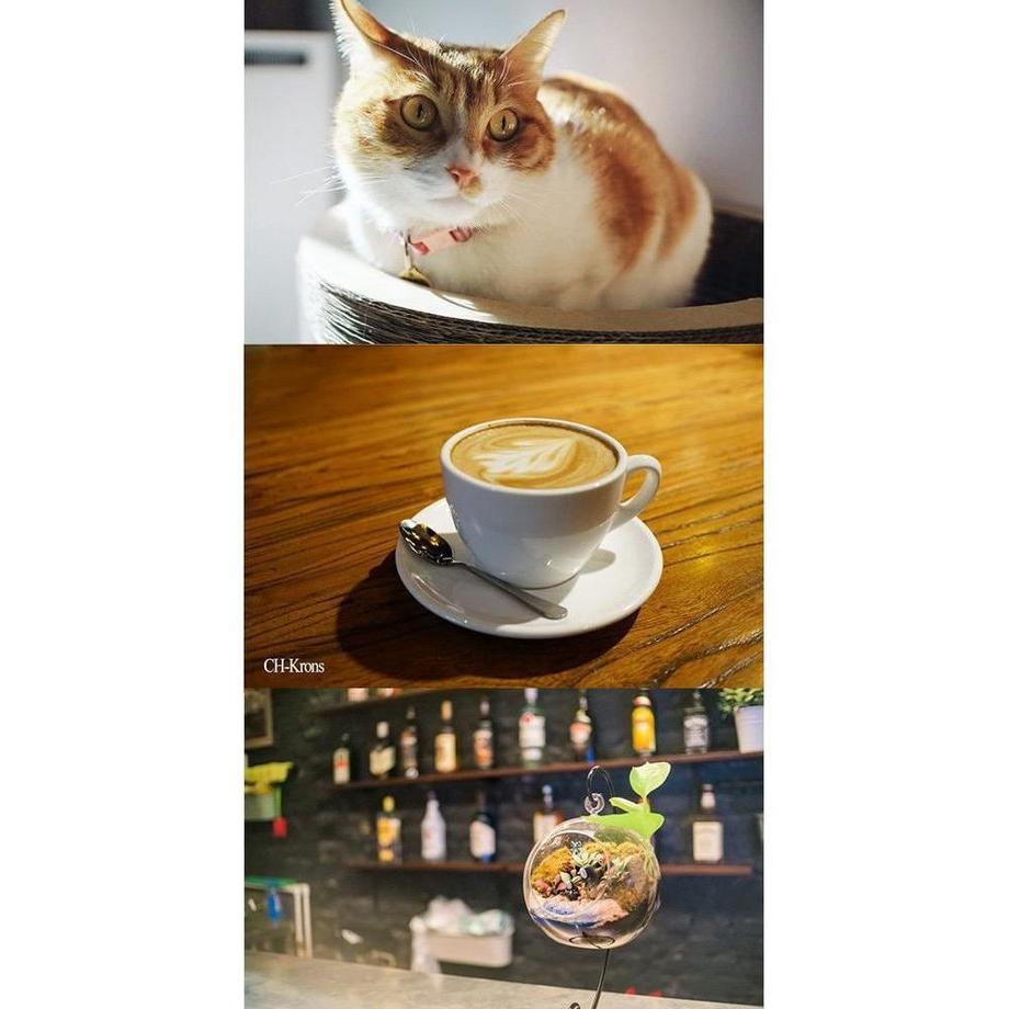 7ARTISANS  7Artisans 495041 obiettivo per fotocamera MILC Obiettivi standard Nero 