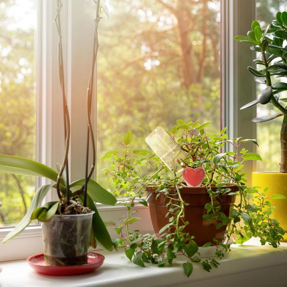 Northio  Cœur de cône en argile - 4 pièces 