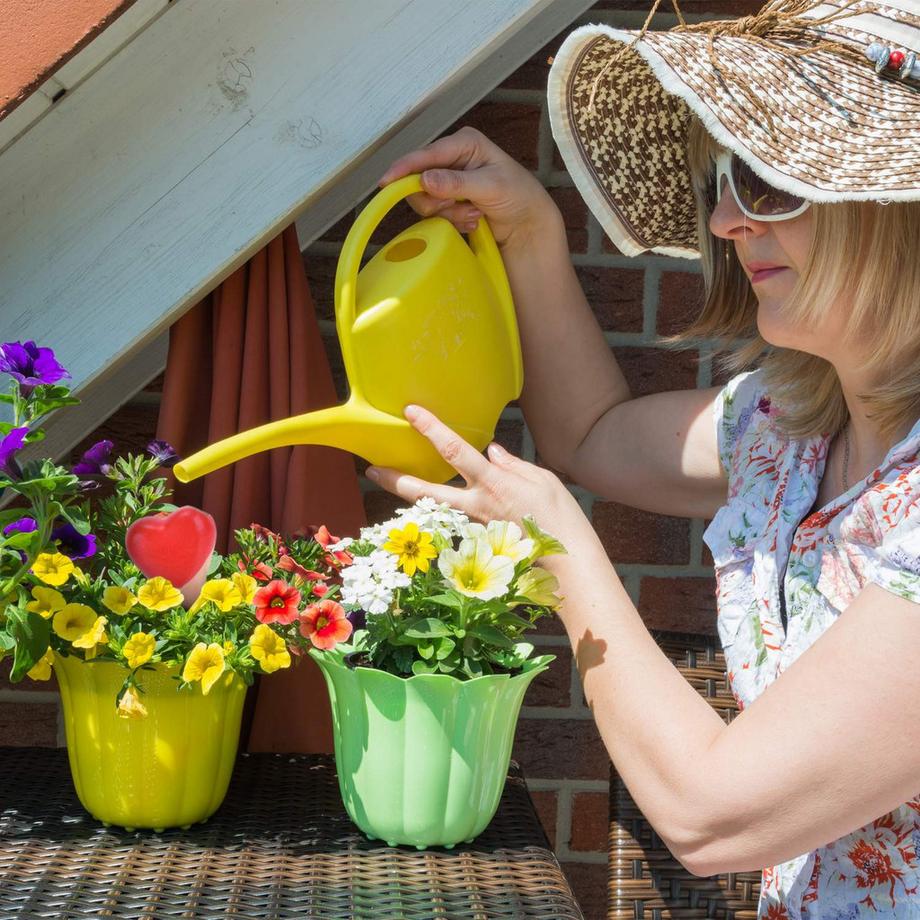 Northio  Cœur de cône en argile - 4 pièces 