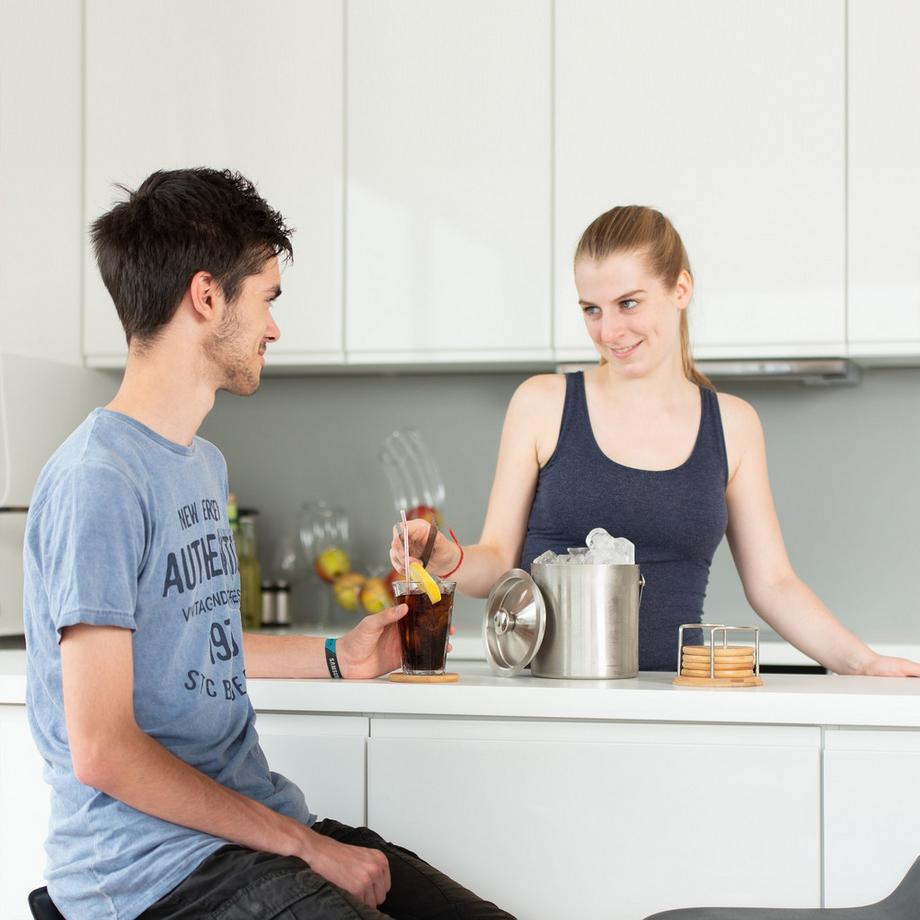 Northix Seau à glace 2 litres avec couvercle et pinces, récipient à glaçons, refroidisseur à vin  