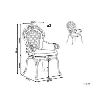 Beliani Set mit 2 Stühlen und Sitzkissen aus Aluminium Retro LIZZANO  