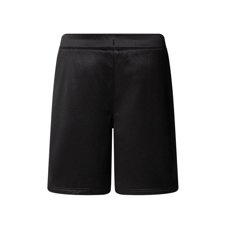 THE NORTH FACE Reaxion Pantaloncini Casual  