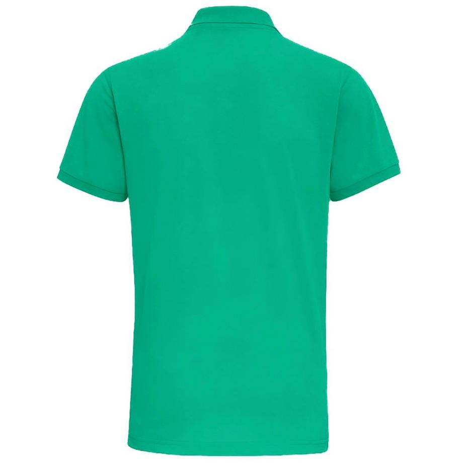 Asquith & Fox Polo  