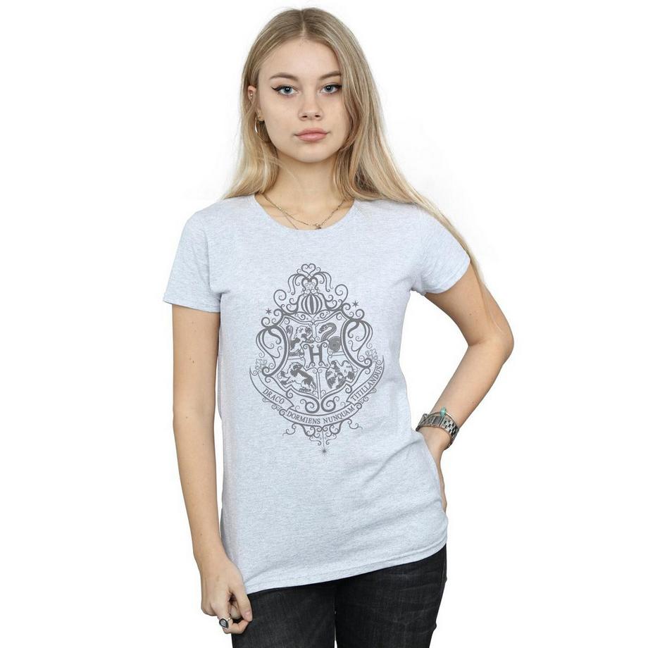 HARRY-POTTER Hogwarts Draco Dormiens T-Shirt  