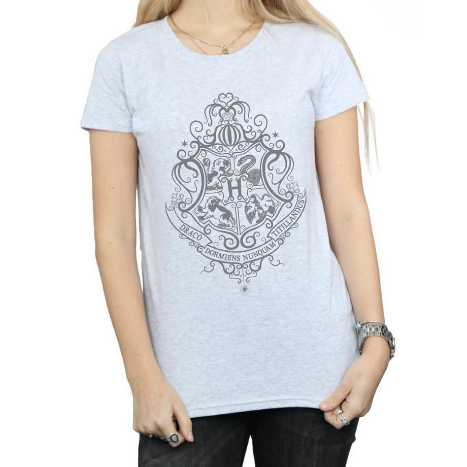 HARRY-POTTER Hogwarts Draco Dormiens T-Shirt  