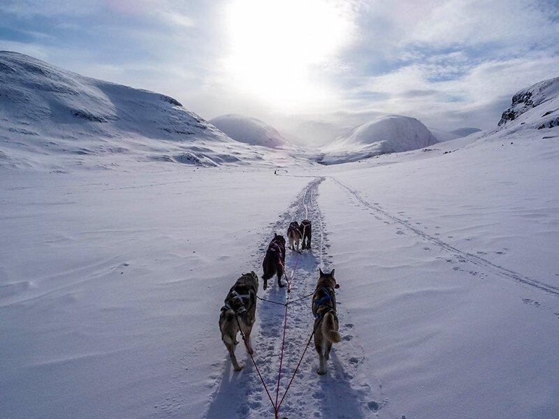 Smartbox  Winterurlaub in Schweden mit Polarlichtern und Husky-Schlittenfahrt - Geschenkbox 