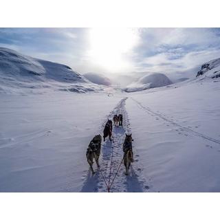 Smartbox  Winterurlaub in Schweden mit Polarlichtern und Husky-Schlittenfahrt - Geschenkbox 