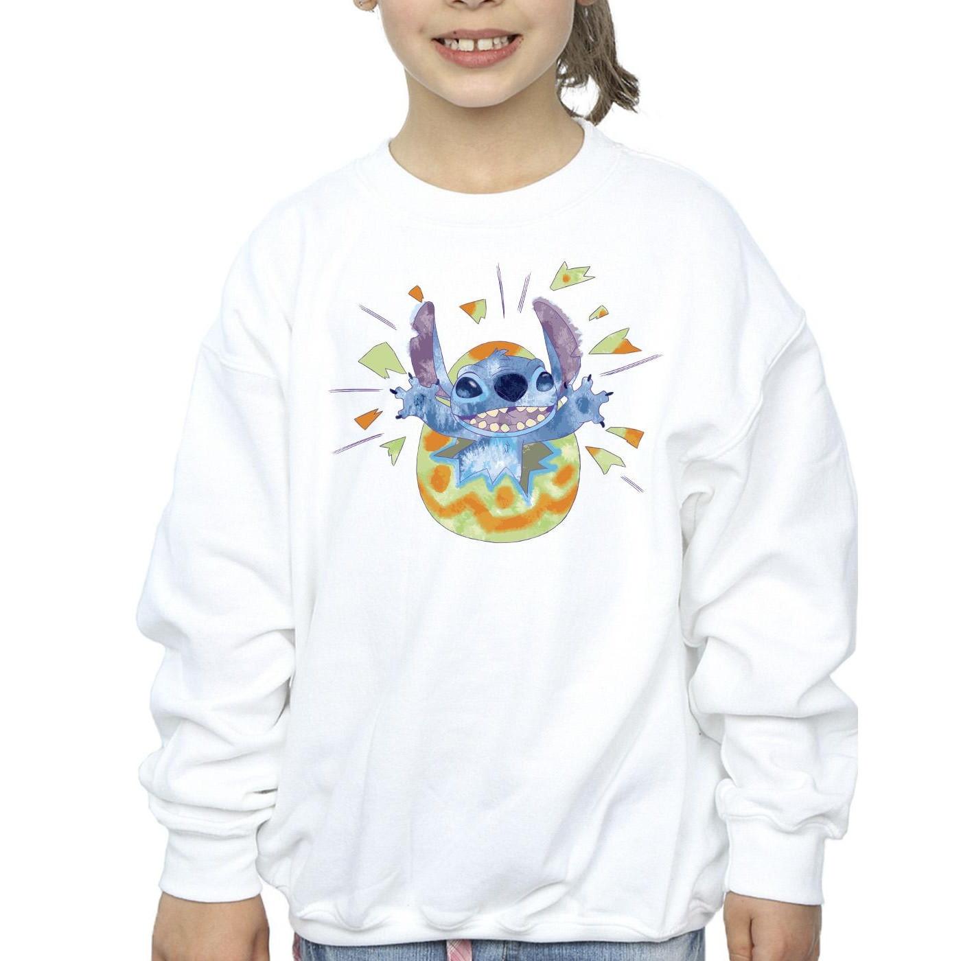 Disney  Sweatshirt 