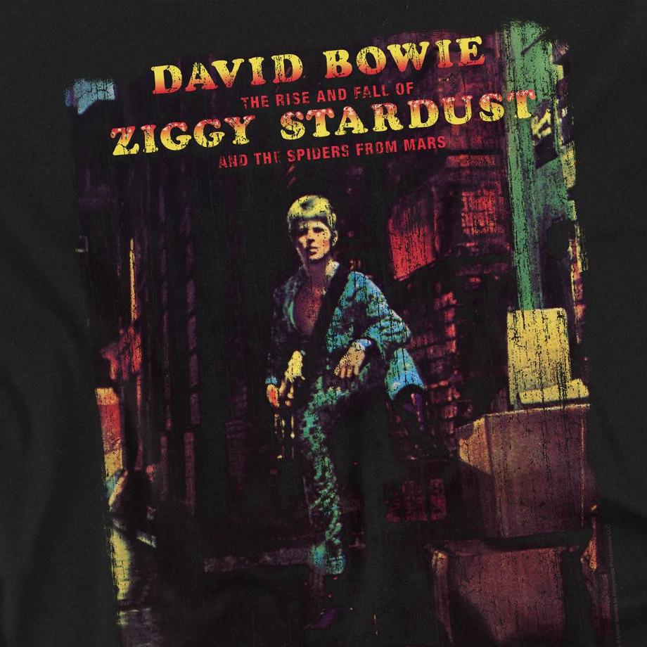 David Bowie T-Shirt Ziggy Stardust Album  